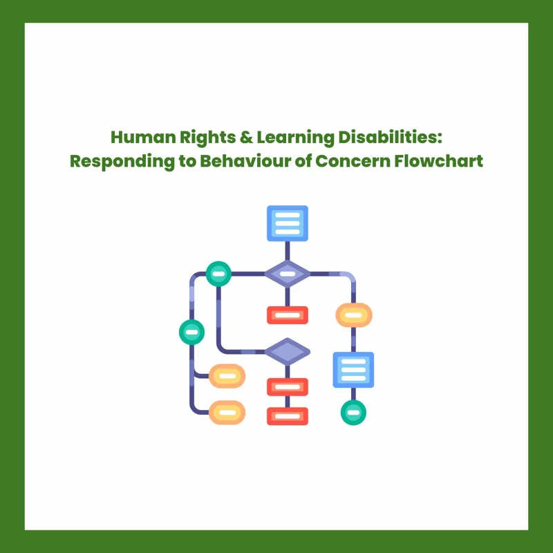 Human Rights Learning Disability All Our Resources for People, Communities & Staff | BIHR
